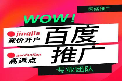 行业精英的SEM竞价经验与案例分享