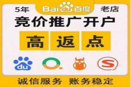 SEM托管公司案例研究：优化策略解析